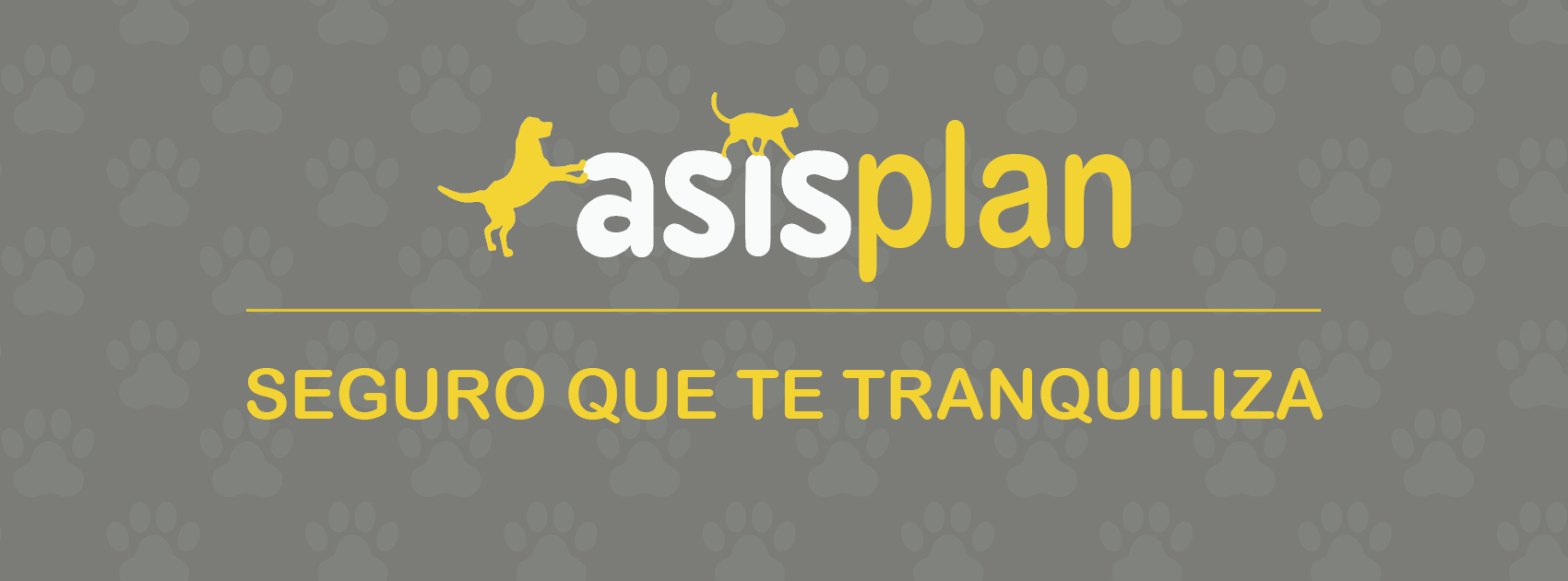 CABECERA ASisPLAN